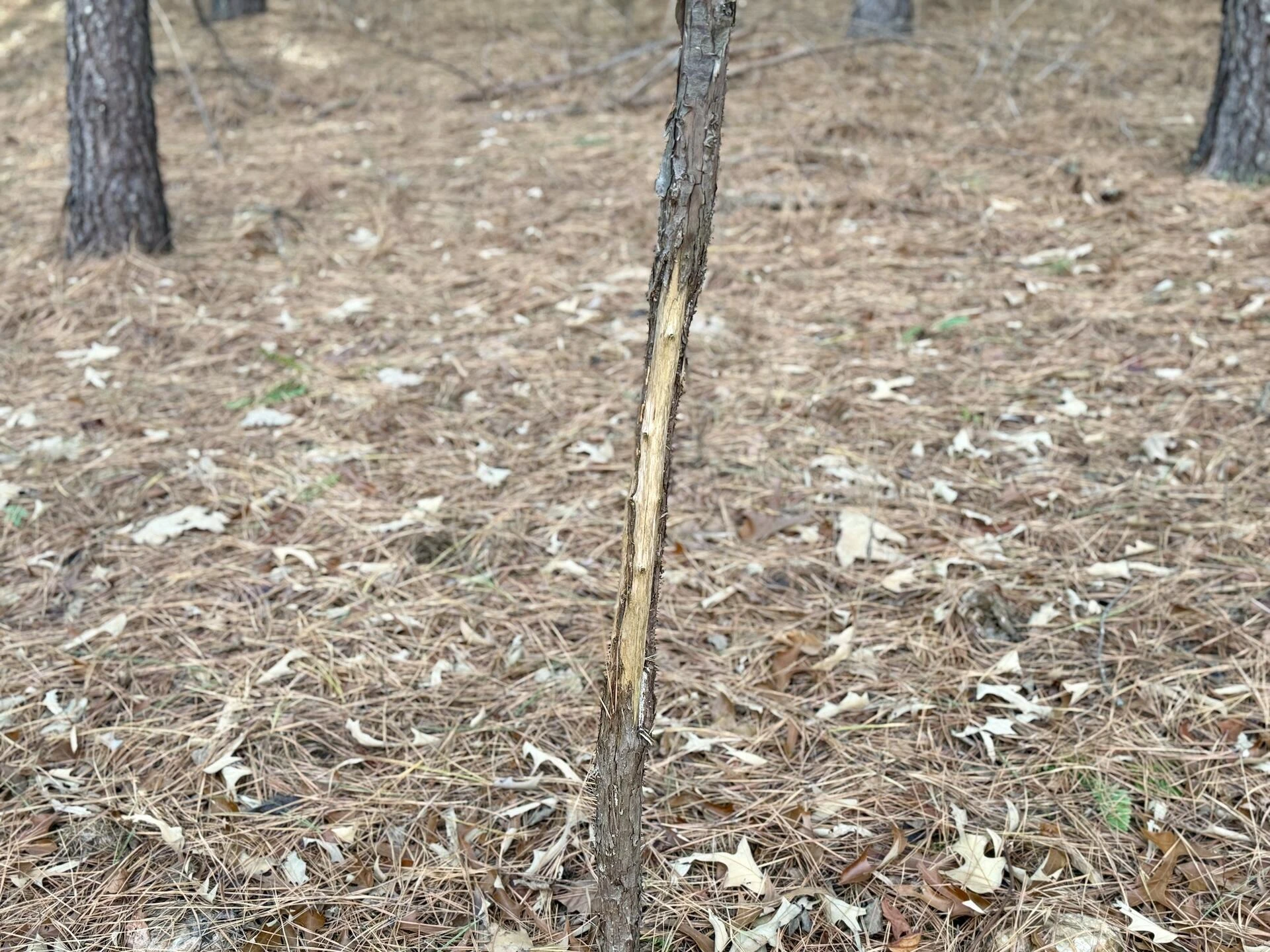 0 Dillards Hill RD - Photo 35