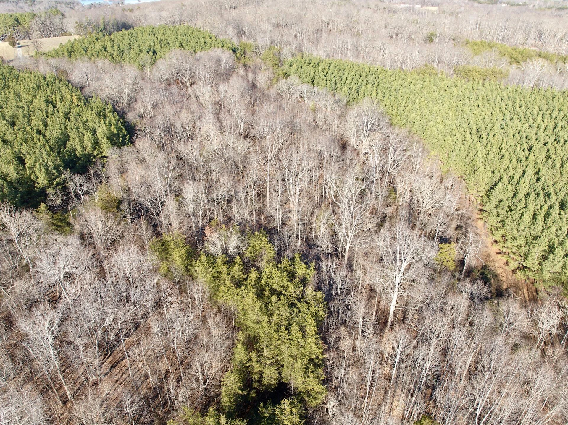 0 Dillards Hill RD - Photo 36