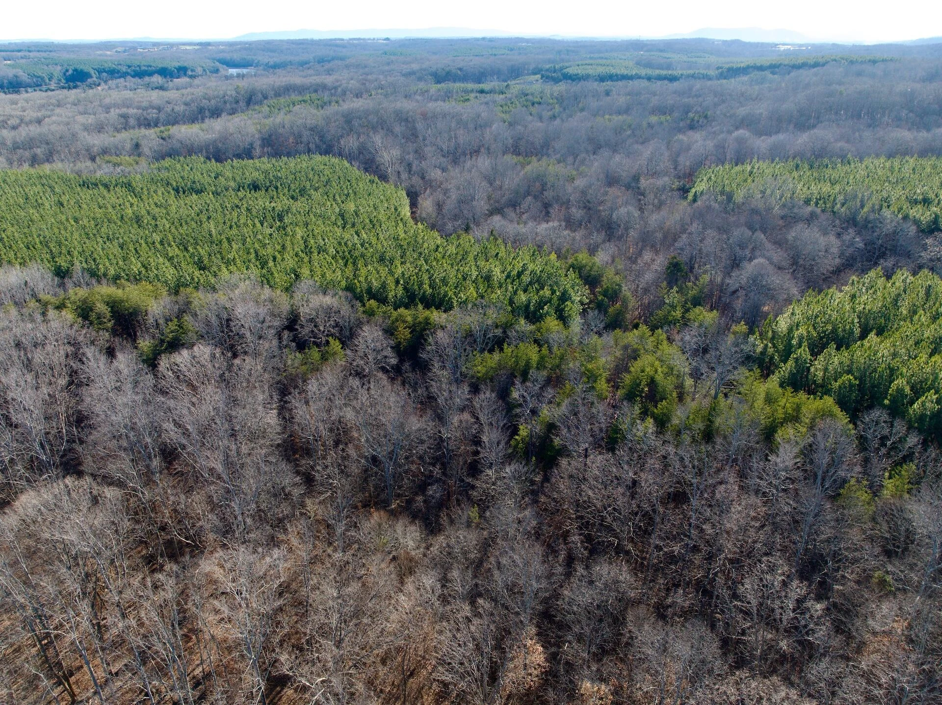 0 Dillards Hill RD - Photo 37