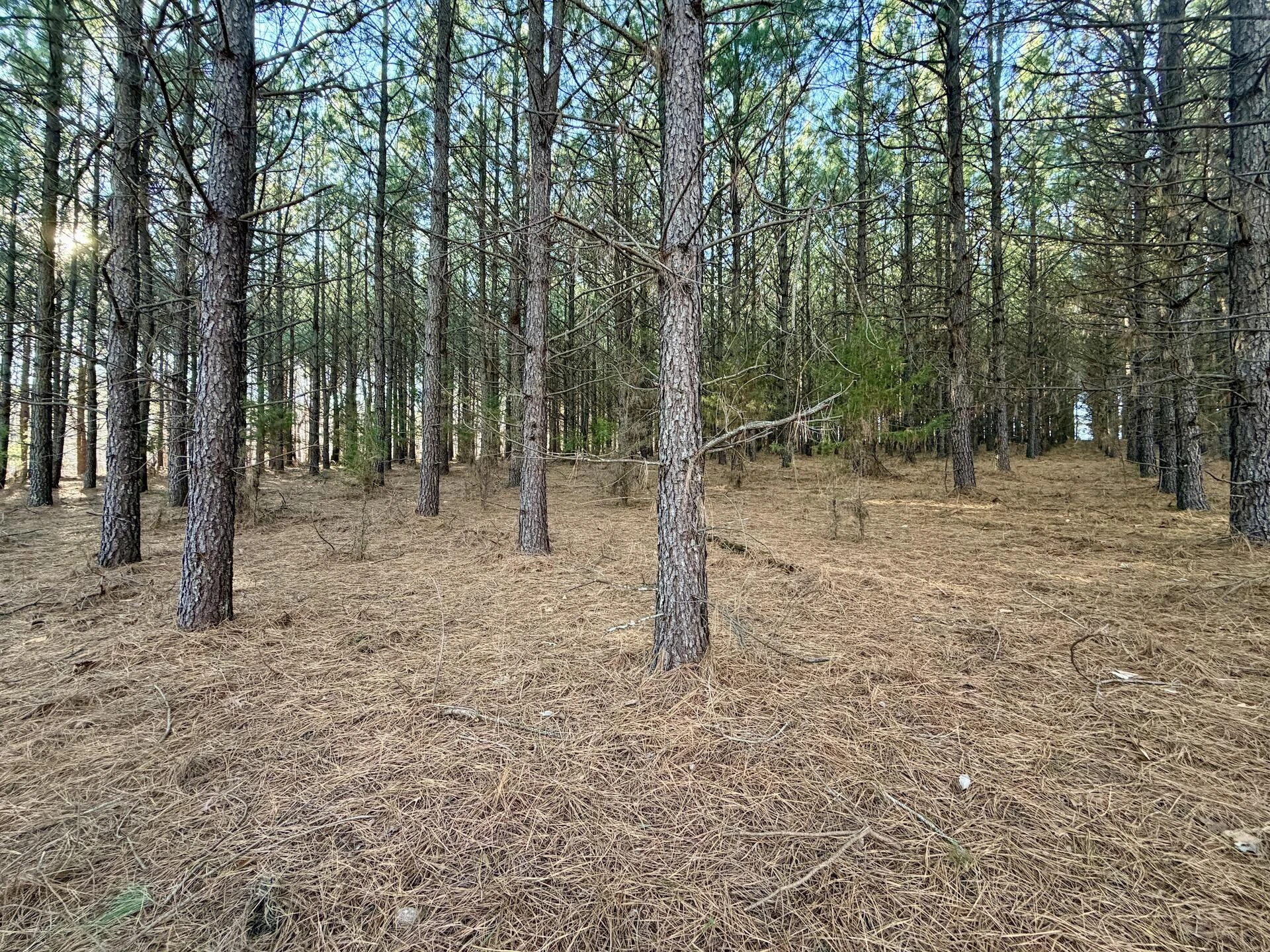 0 Dillards Hill RD - Photo 38