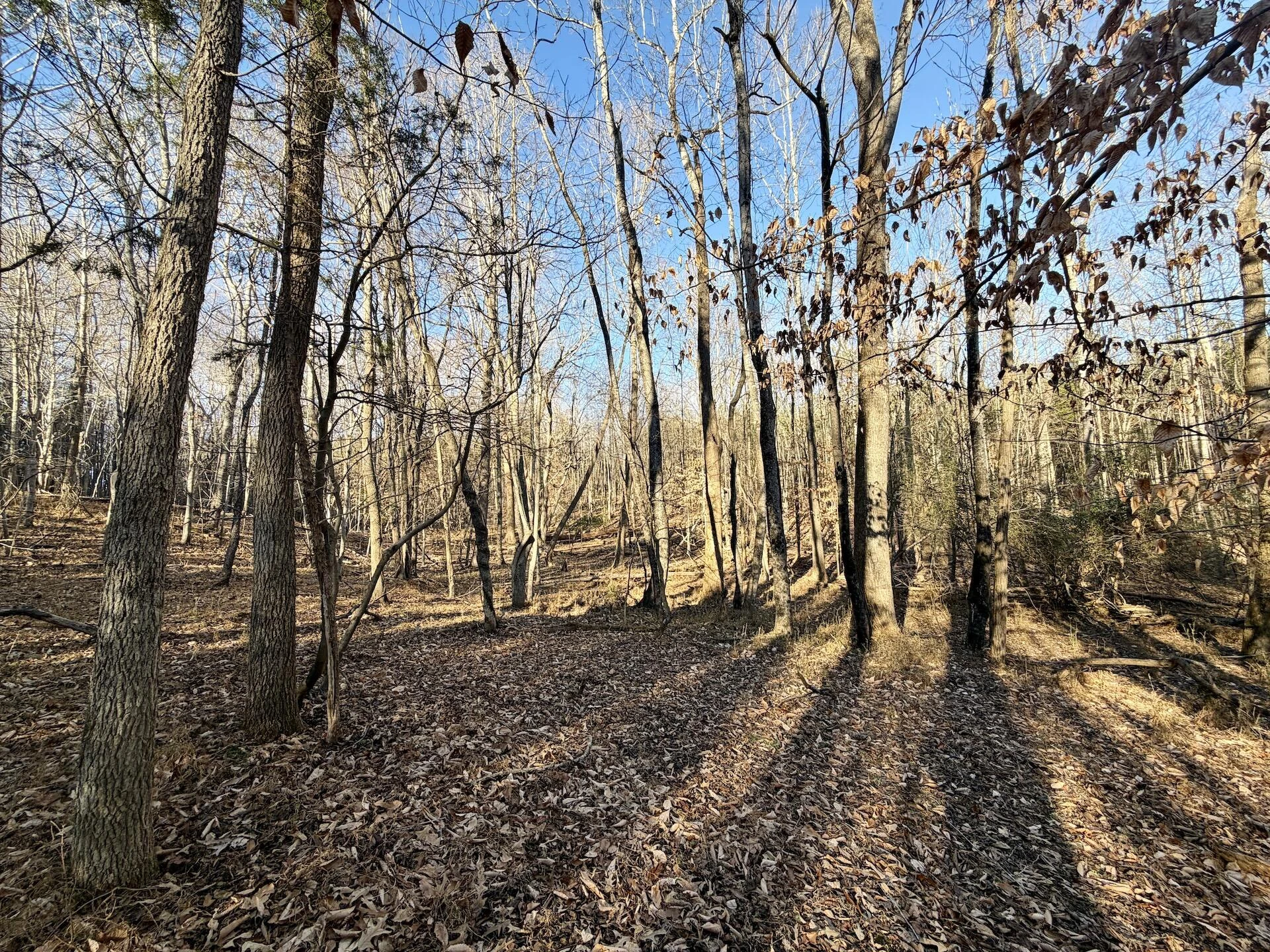 0 Dillards Hill RD - Photo 39