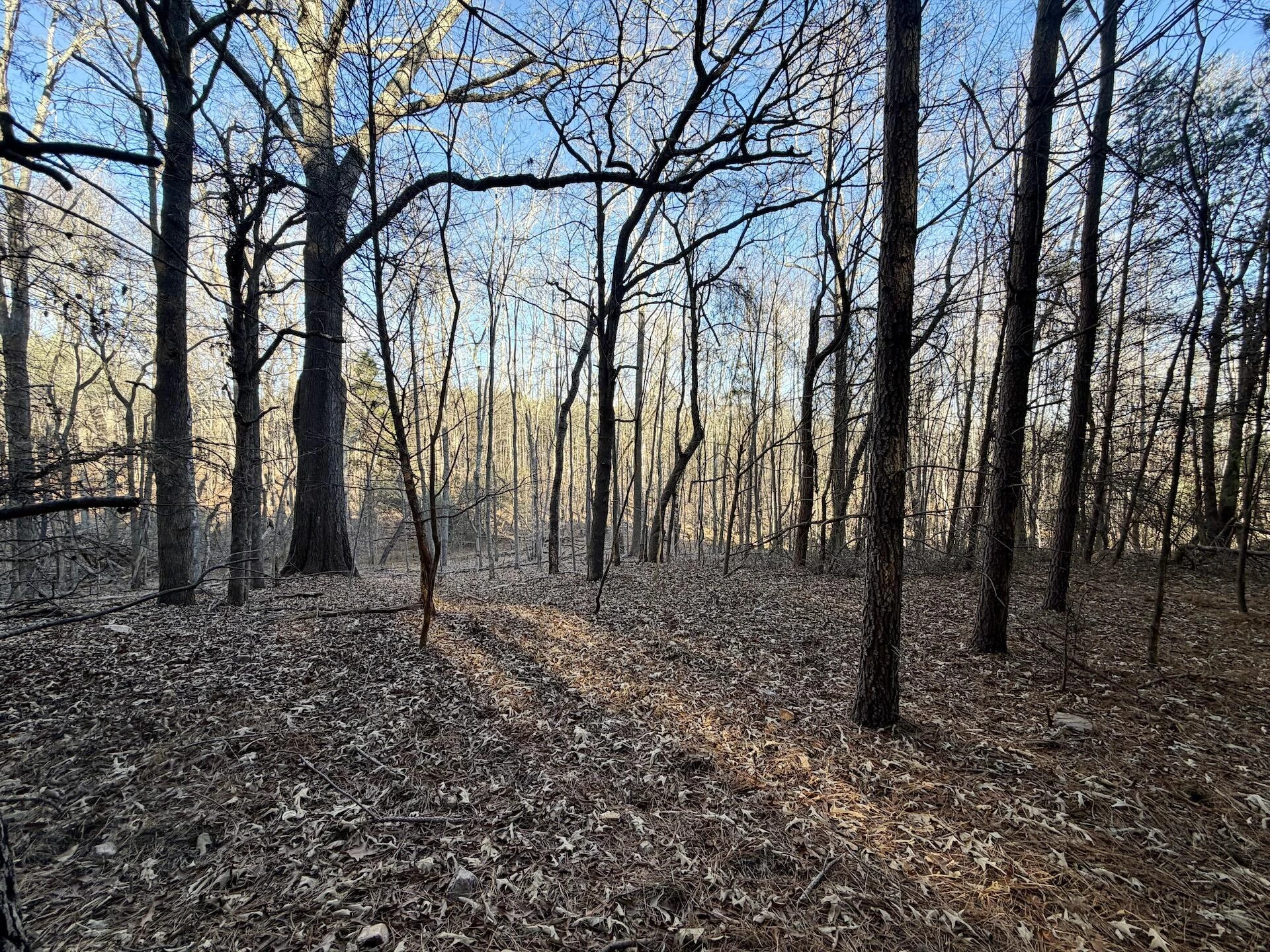 0 Dillards Hill RD - Photo 41