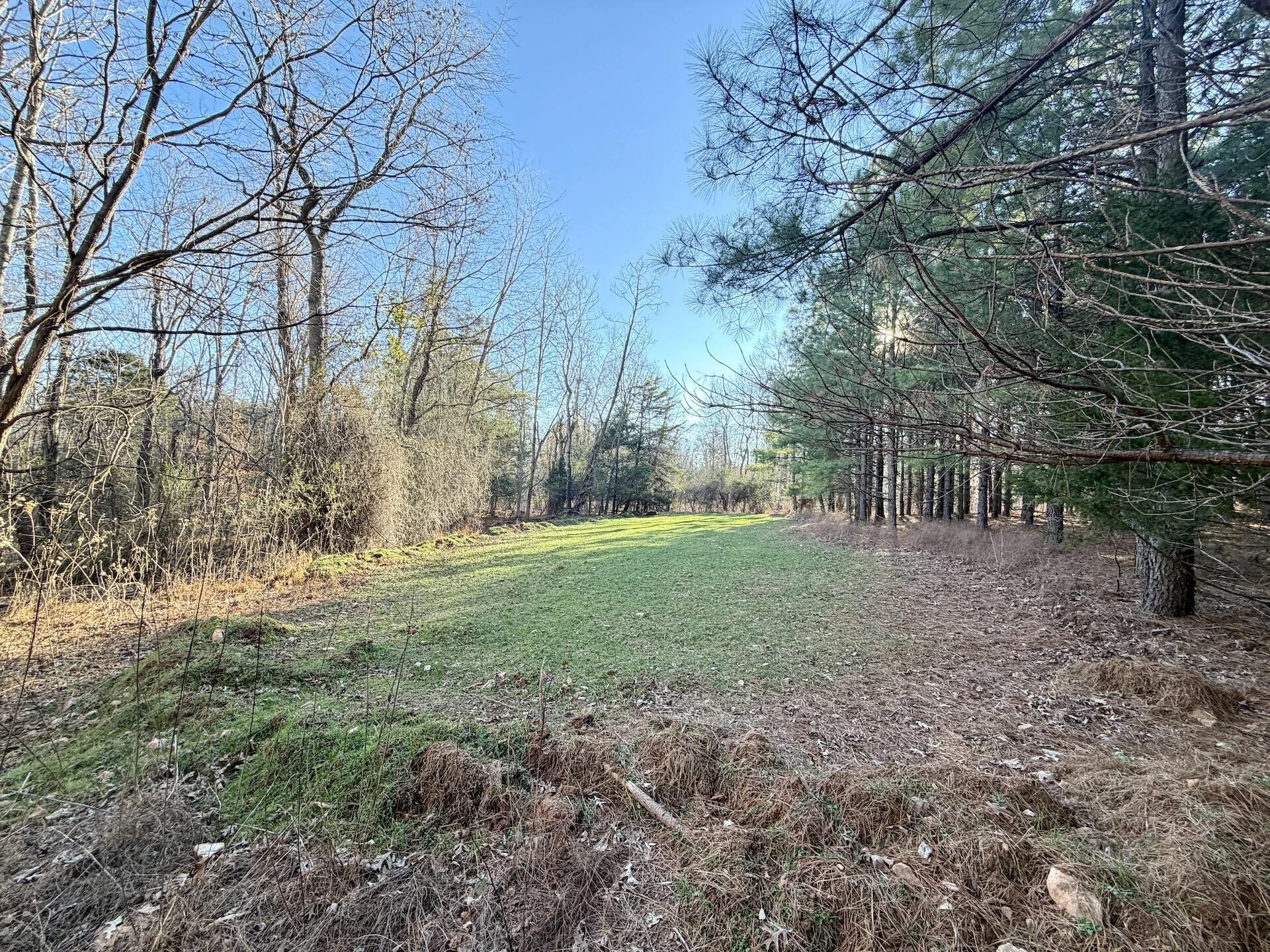 0 Dillards Hill RD - Photo 43