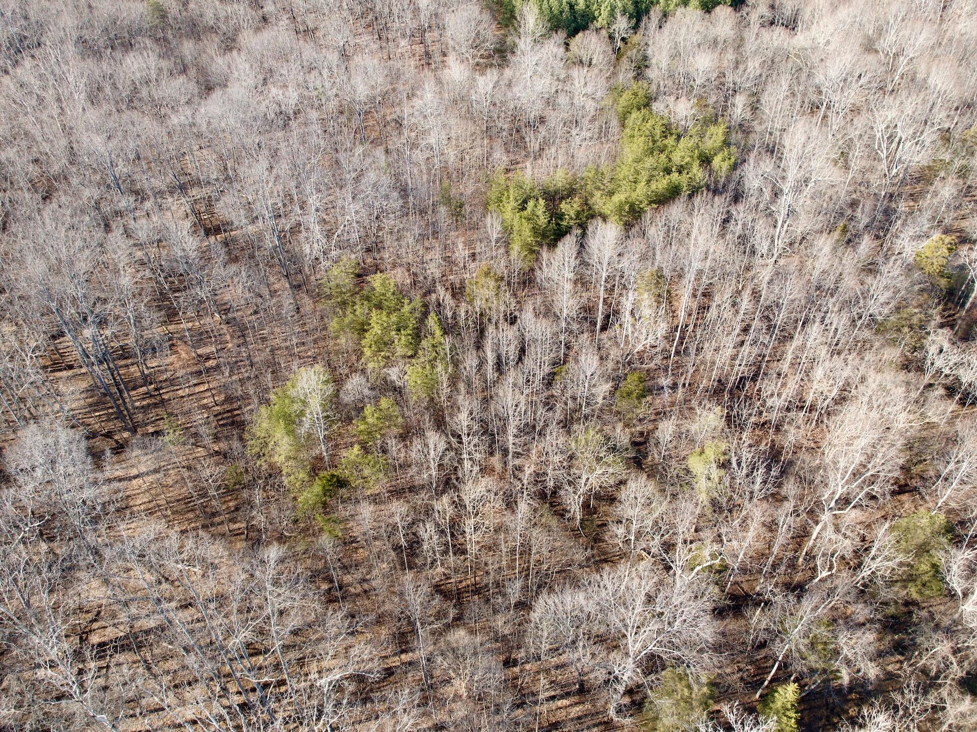 0 Dillards Hill RD - Photo 45