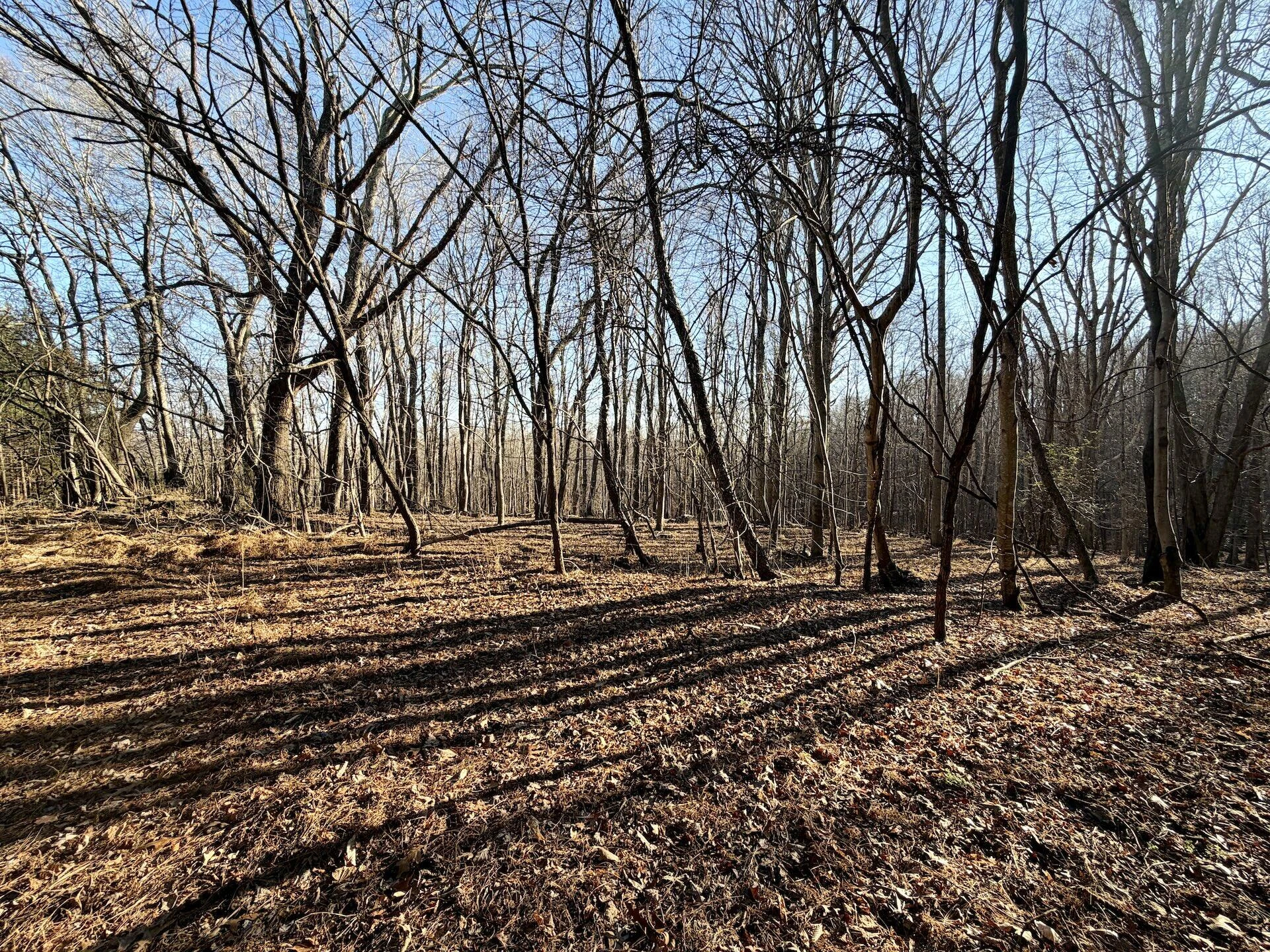 0 Dillards Hill RD - Photo 46