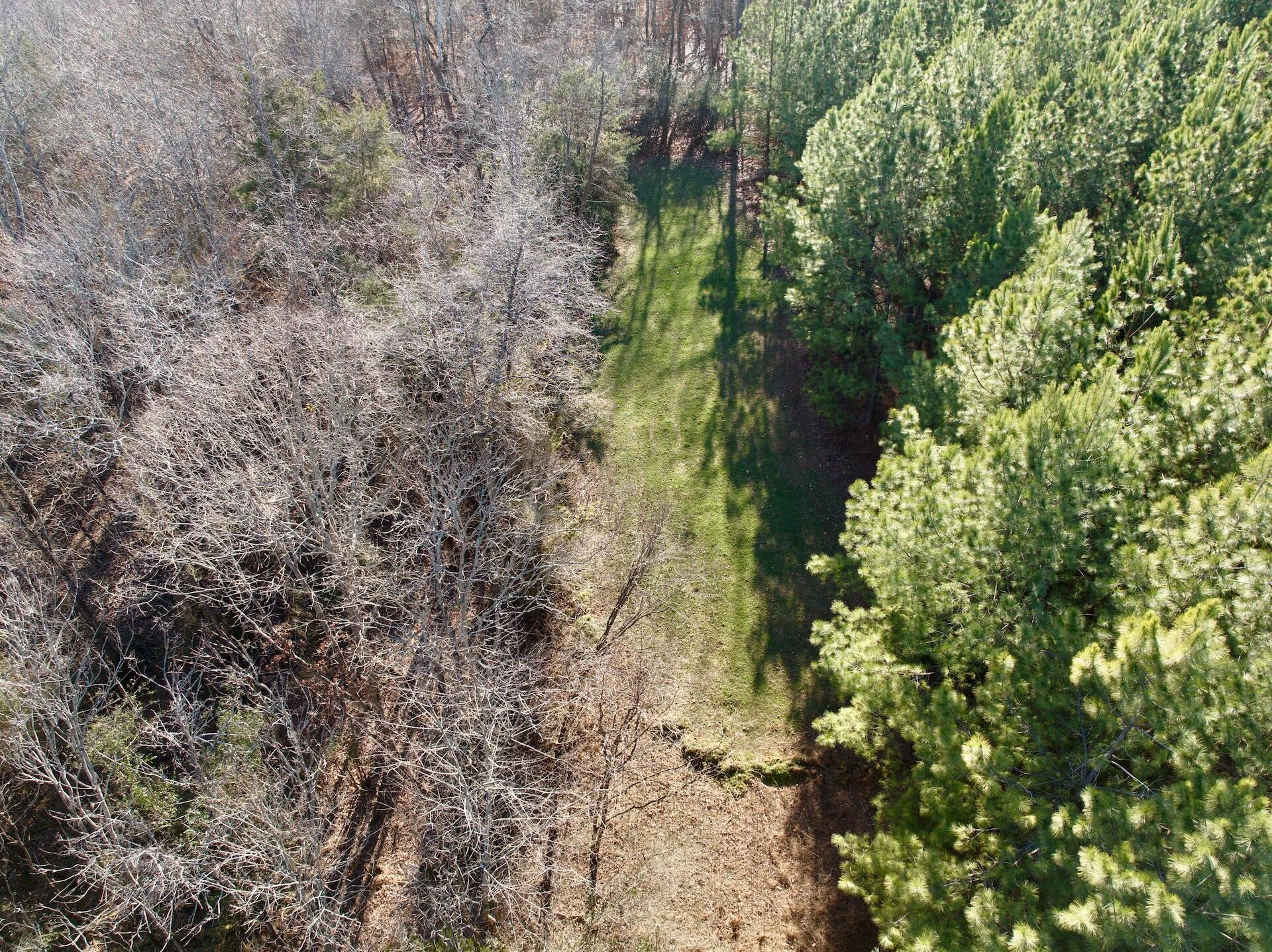 0 Dillards Hill RD - Photo 48