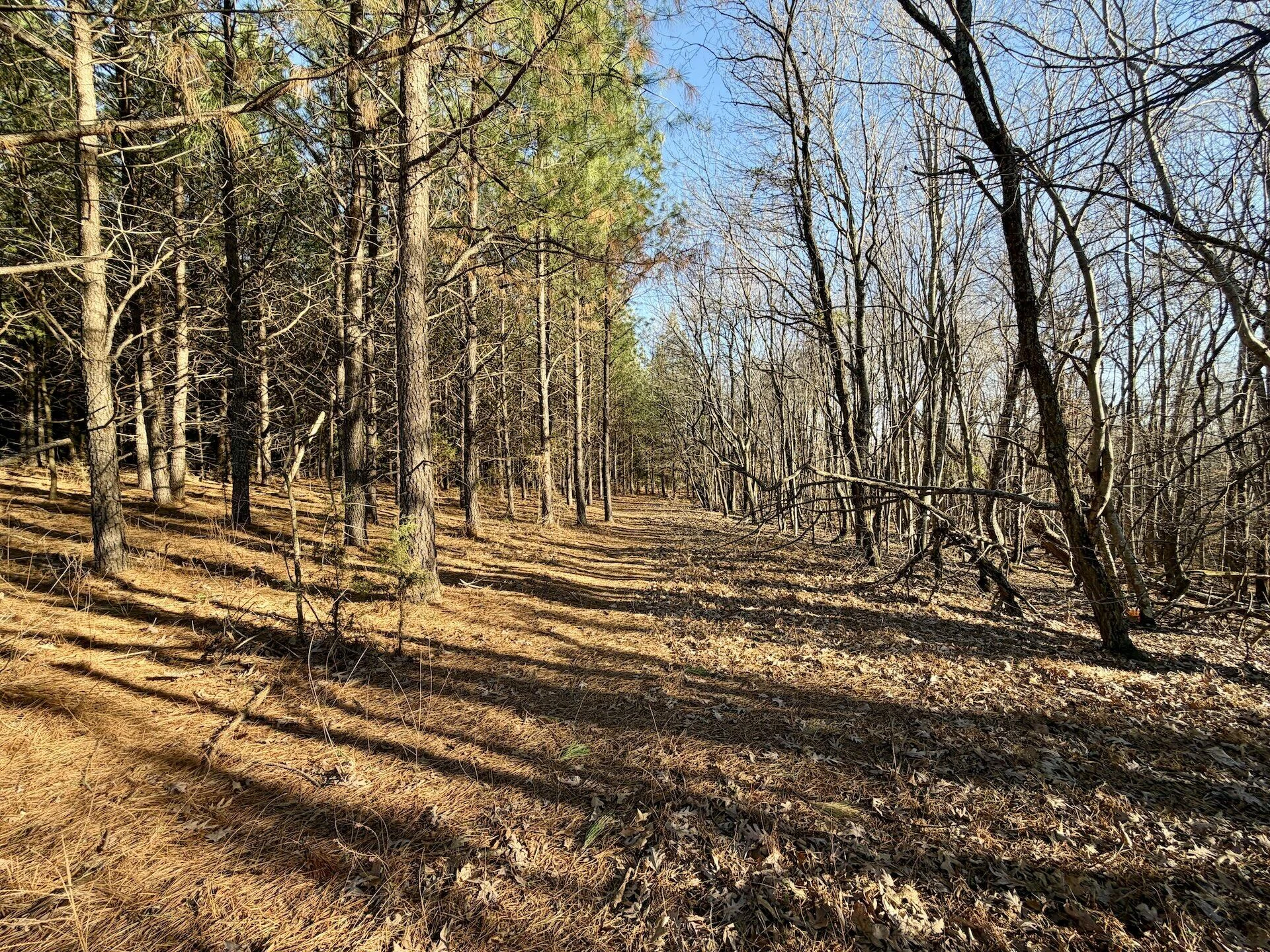 0 Dillards Hill RD - Photo 51
