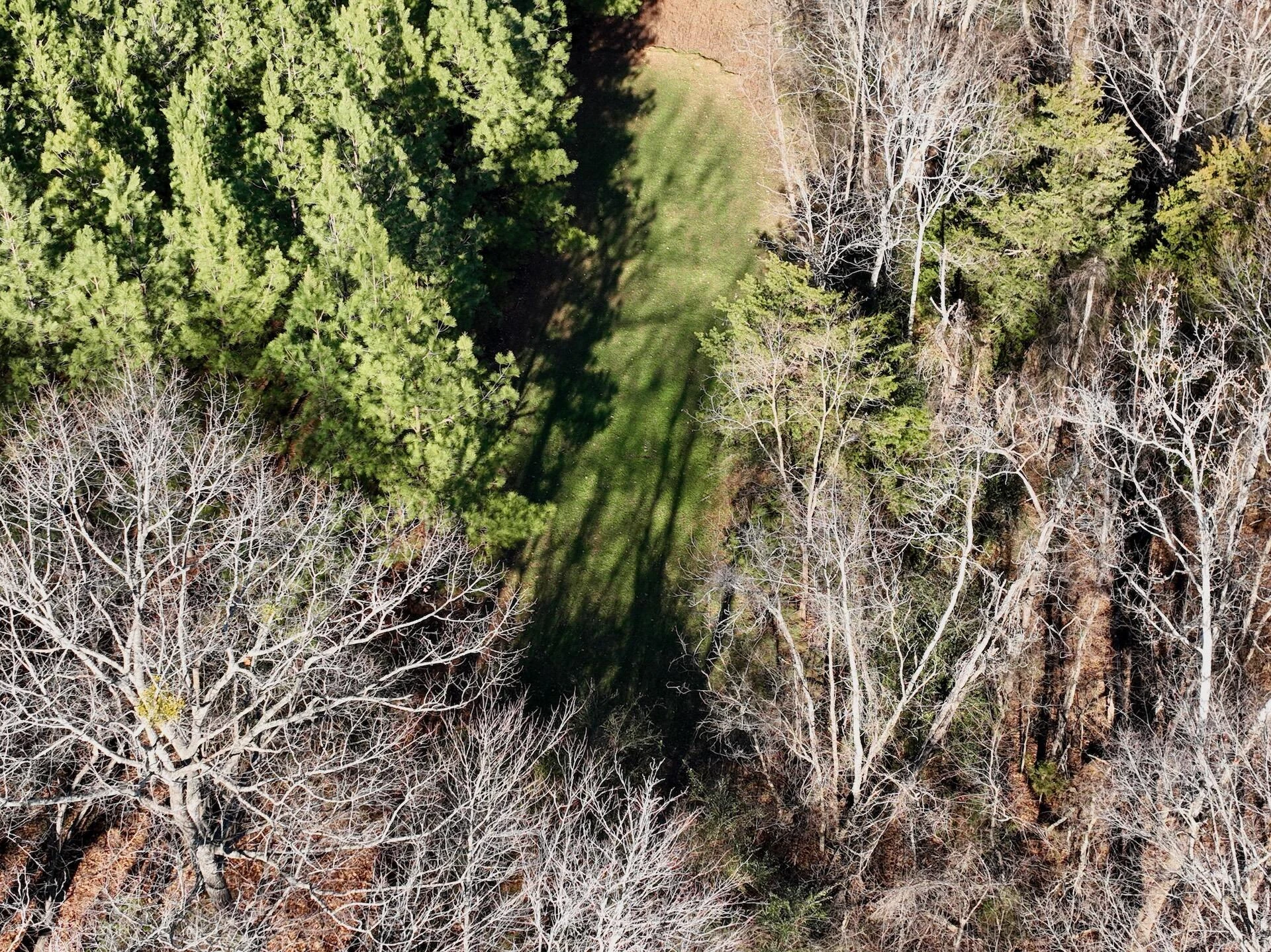 0 Dillards Hill RD - Photo 54