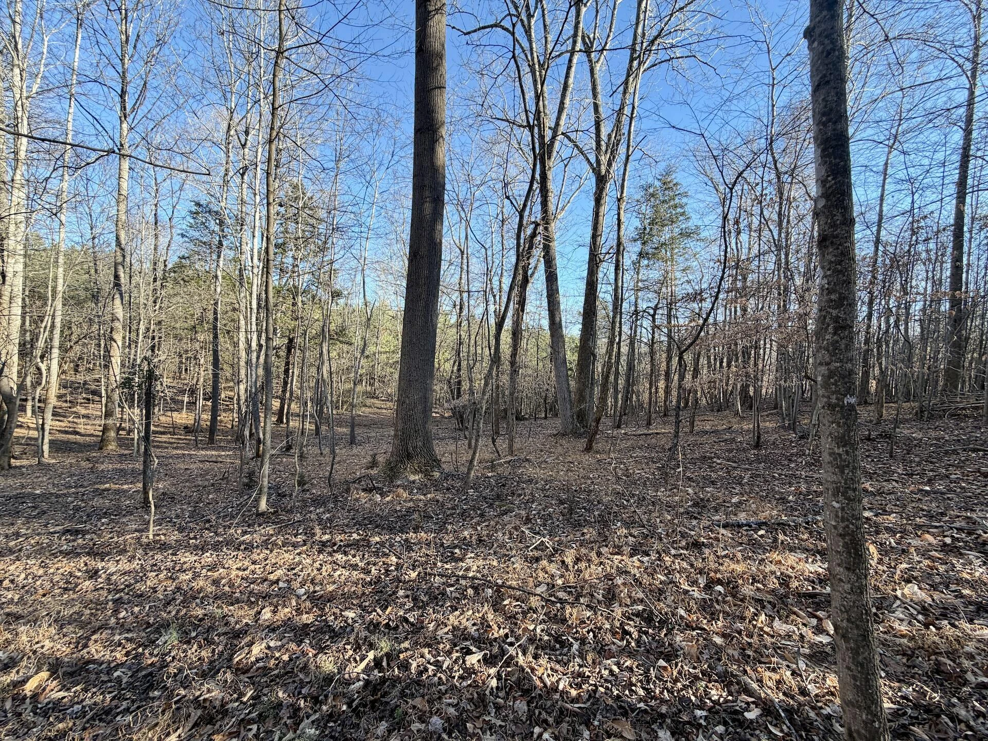 0 Dillards Hill RD - Photo 56