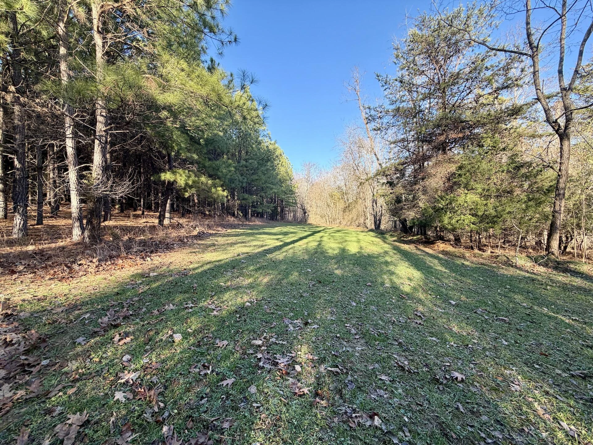 0 Dillards Hill RD - Photo 58