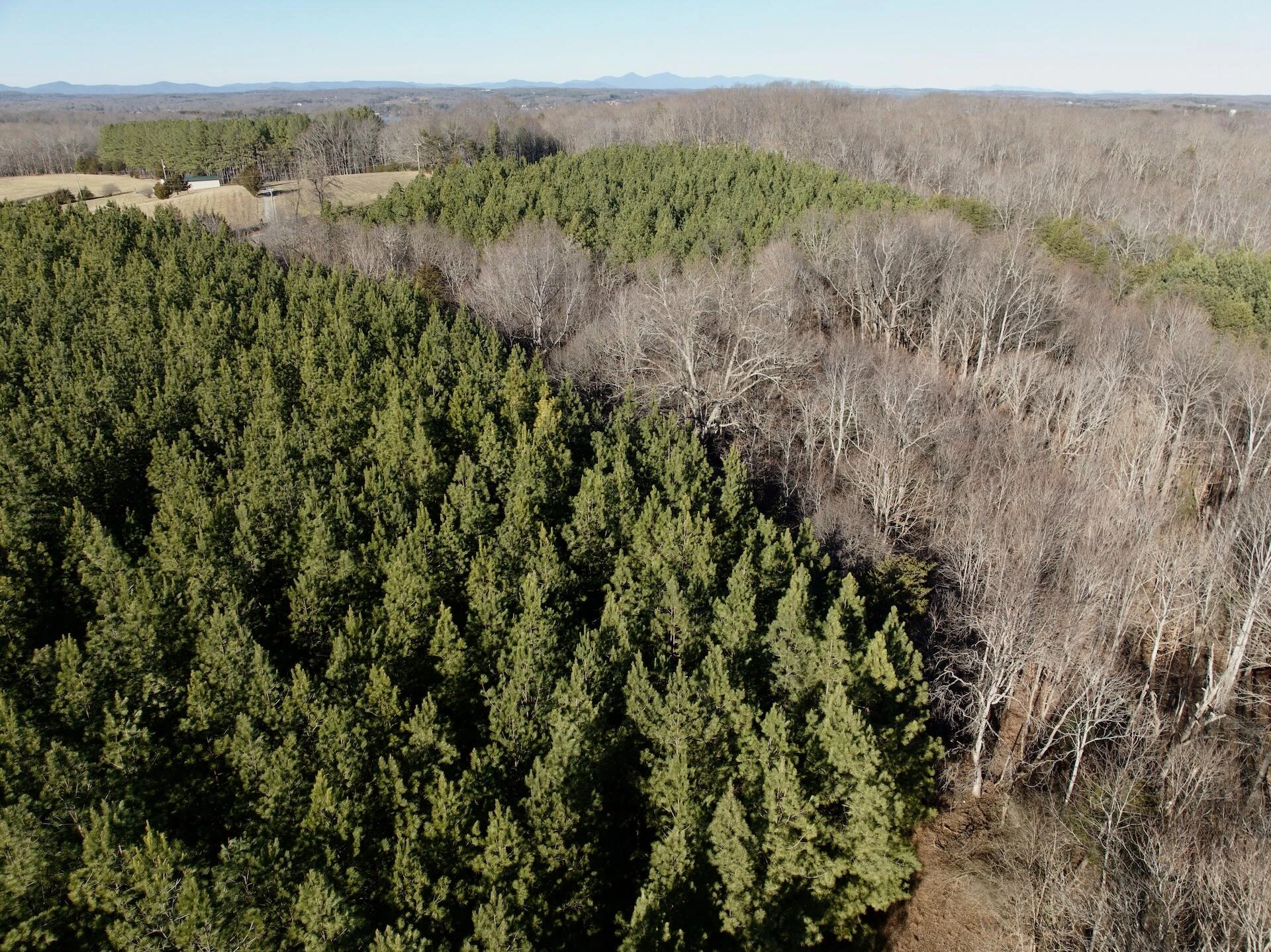 0 Dillards Hill RD - Photo 59