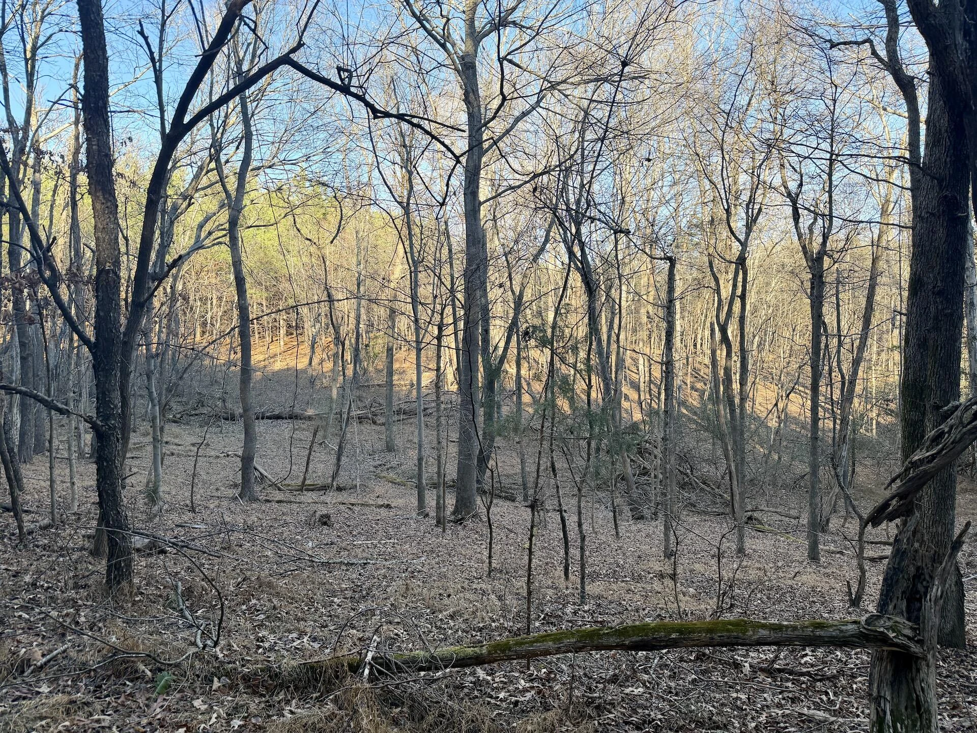 0 Dillards Hill RD - Photo 6