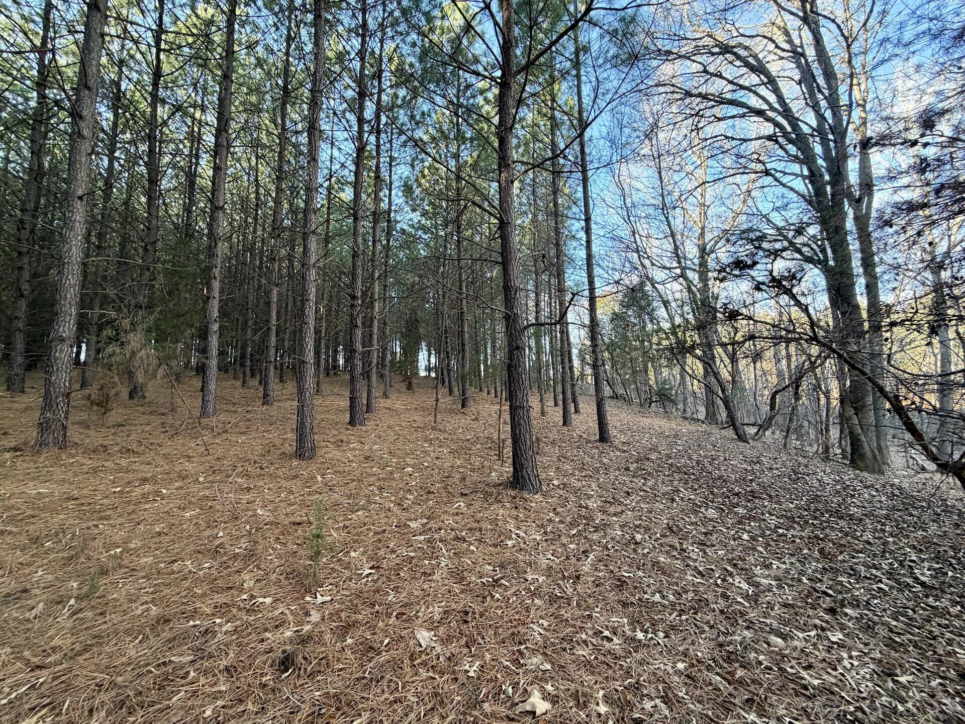 0 Dillards Hill RD - Photo 7