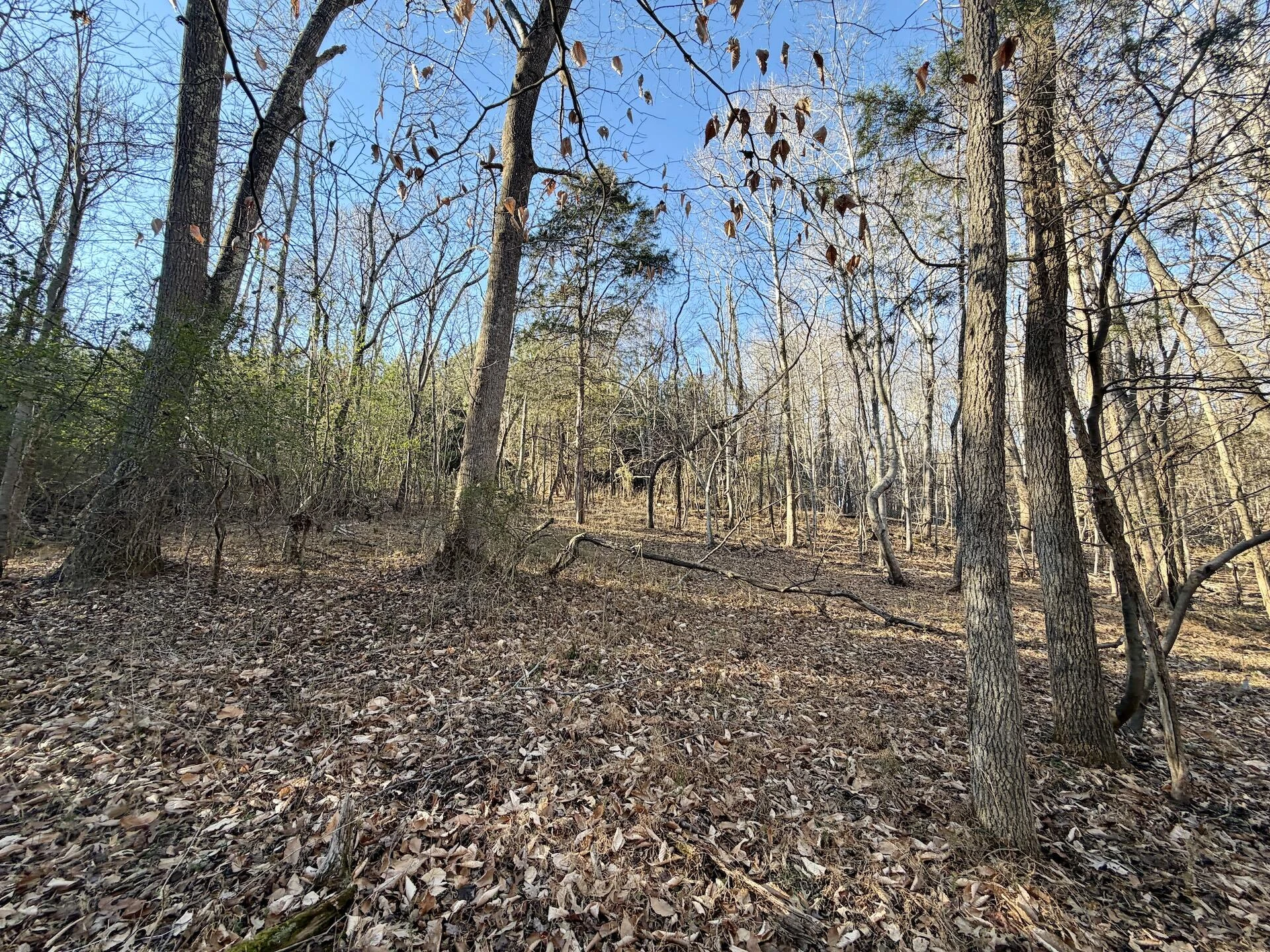0 Dillards Hill RD - Photo 8