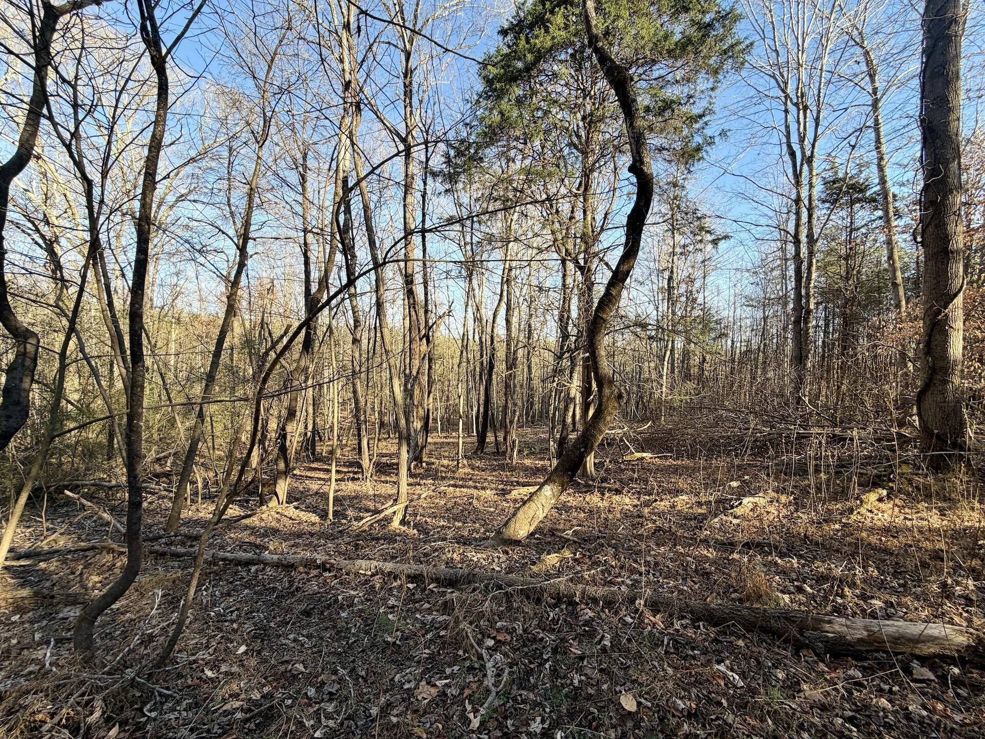 0 Dillards Hill RD - Photo 9