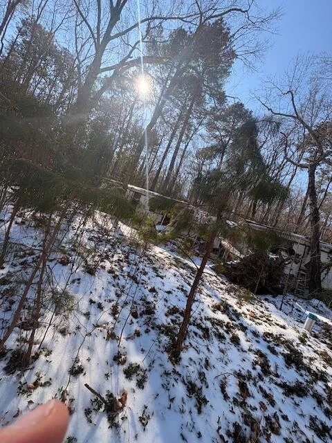 646 Sheepside RD - Photo 2