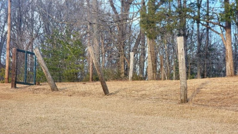 0 Jackrabbit LN - Photo 8