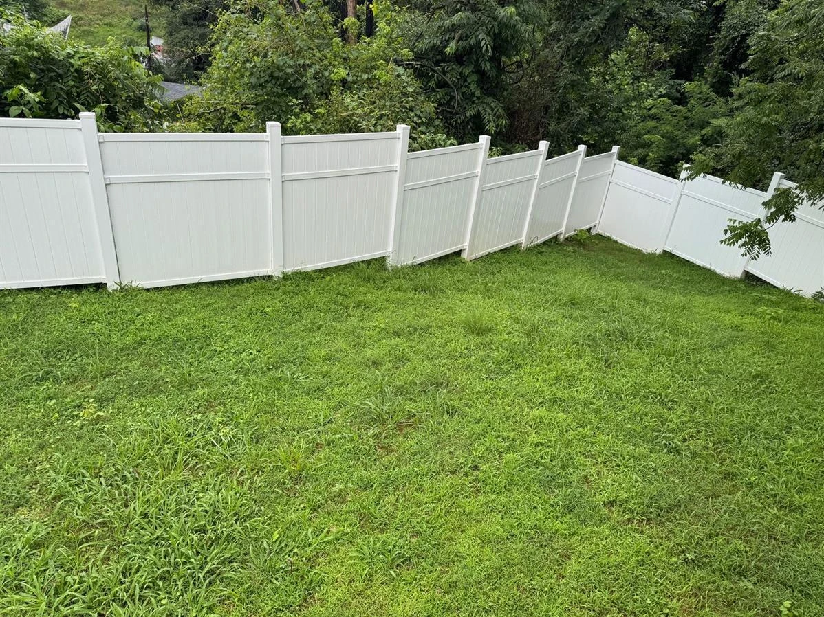 402 College ST - Photo 7
