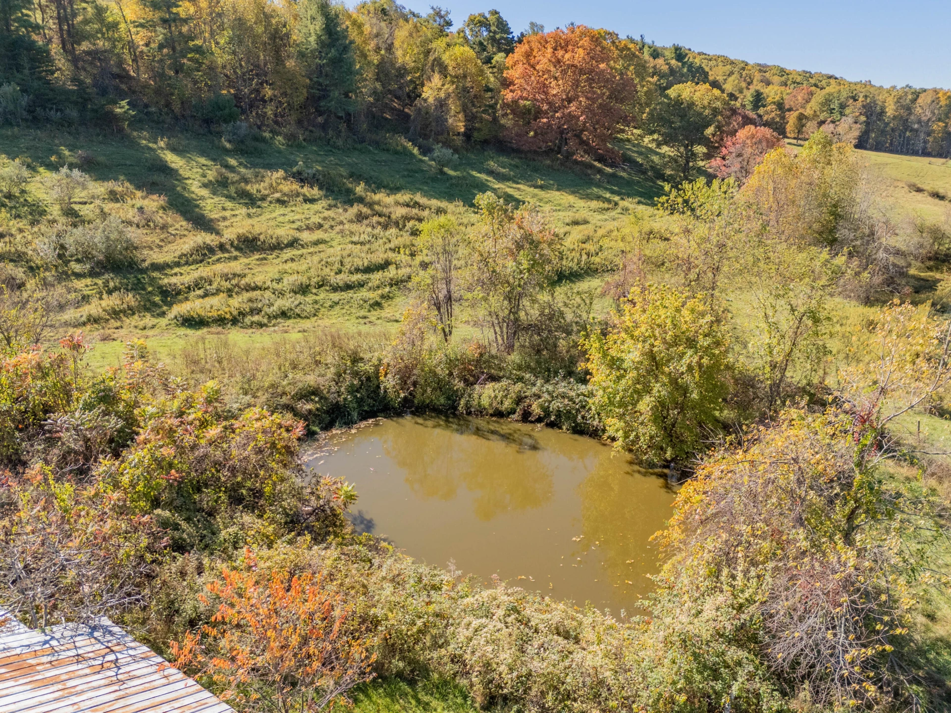 508 Whitelocke RD - Photo 63
