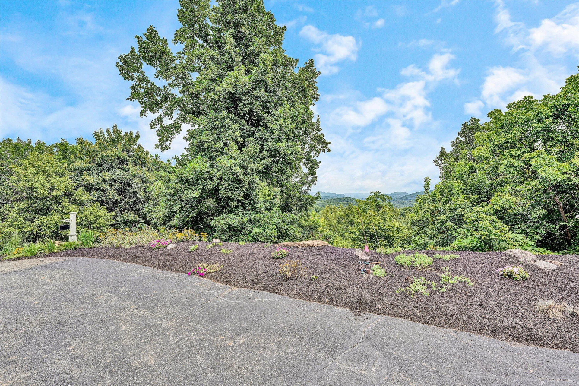 8995 Jubal Early - Photo 70