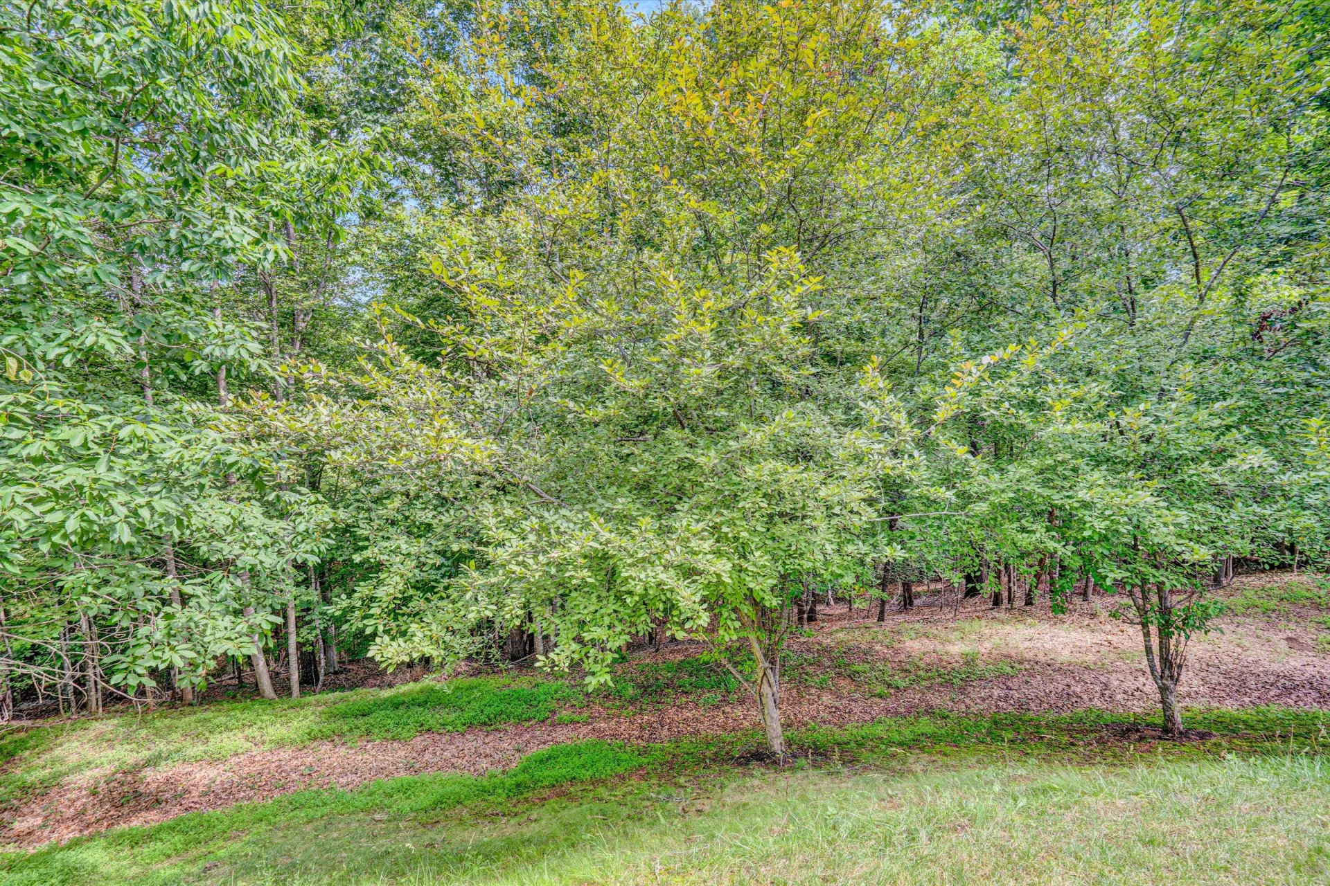 131 STONEY MILL RD - Photo 48