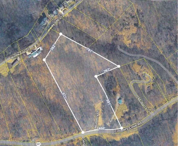 533 COOPERS COVE RD, Hardy, VA, 24101