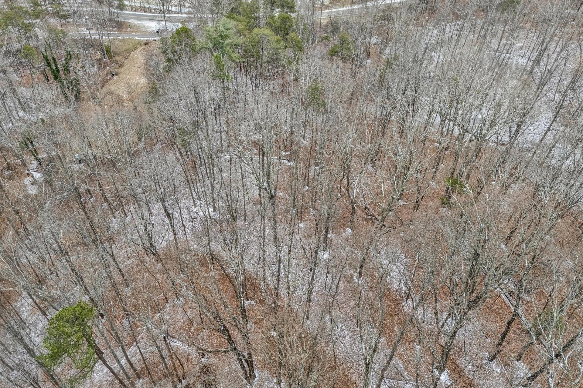 533 COOPERS COVE RD - Photo 7