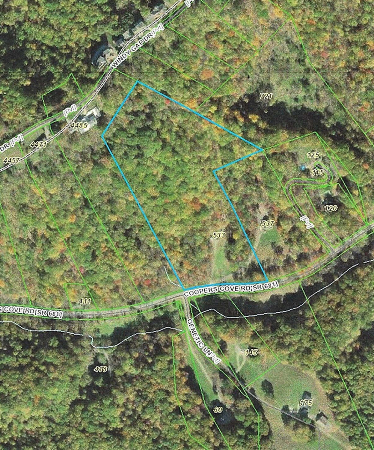533 COOPERS COVE RD - Photo 9