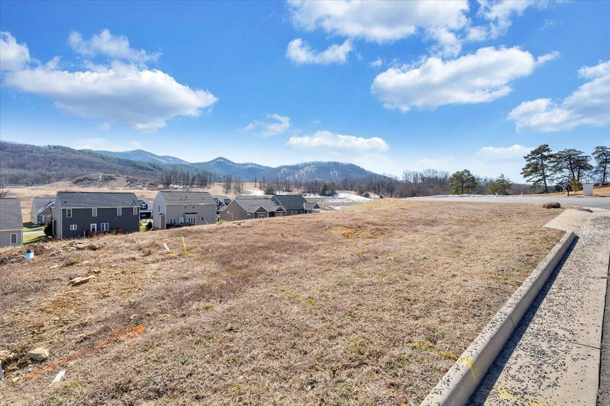 Lot 6 OM LN - Photo 11