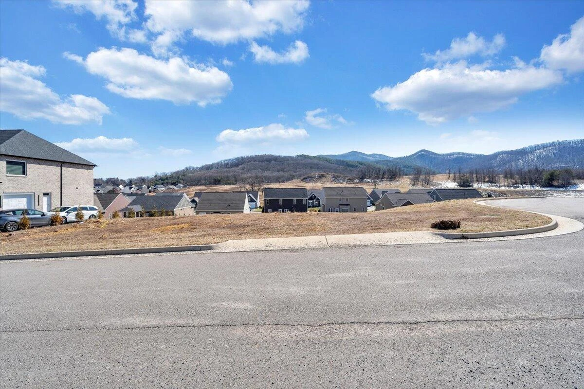 Lot 6 OM LN - Photo 4