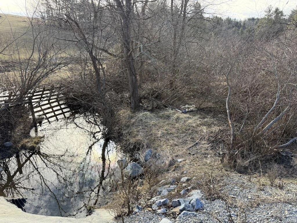TBD Wilson Cemetery RD - Photo 3