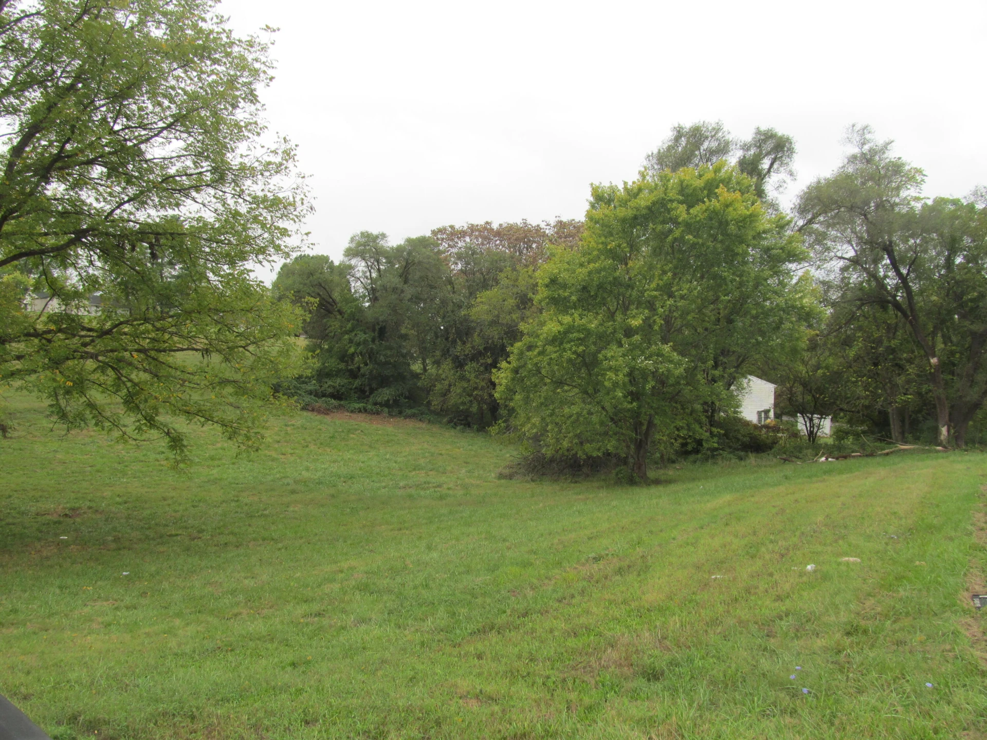 2201 Carvin ST - Photo 4