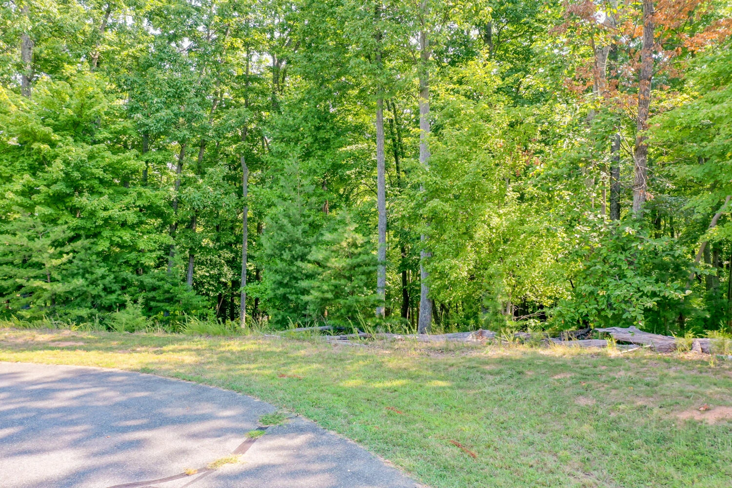 Lot 1 Sweetwater Bay DR - Photo 14