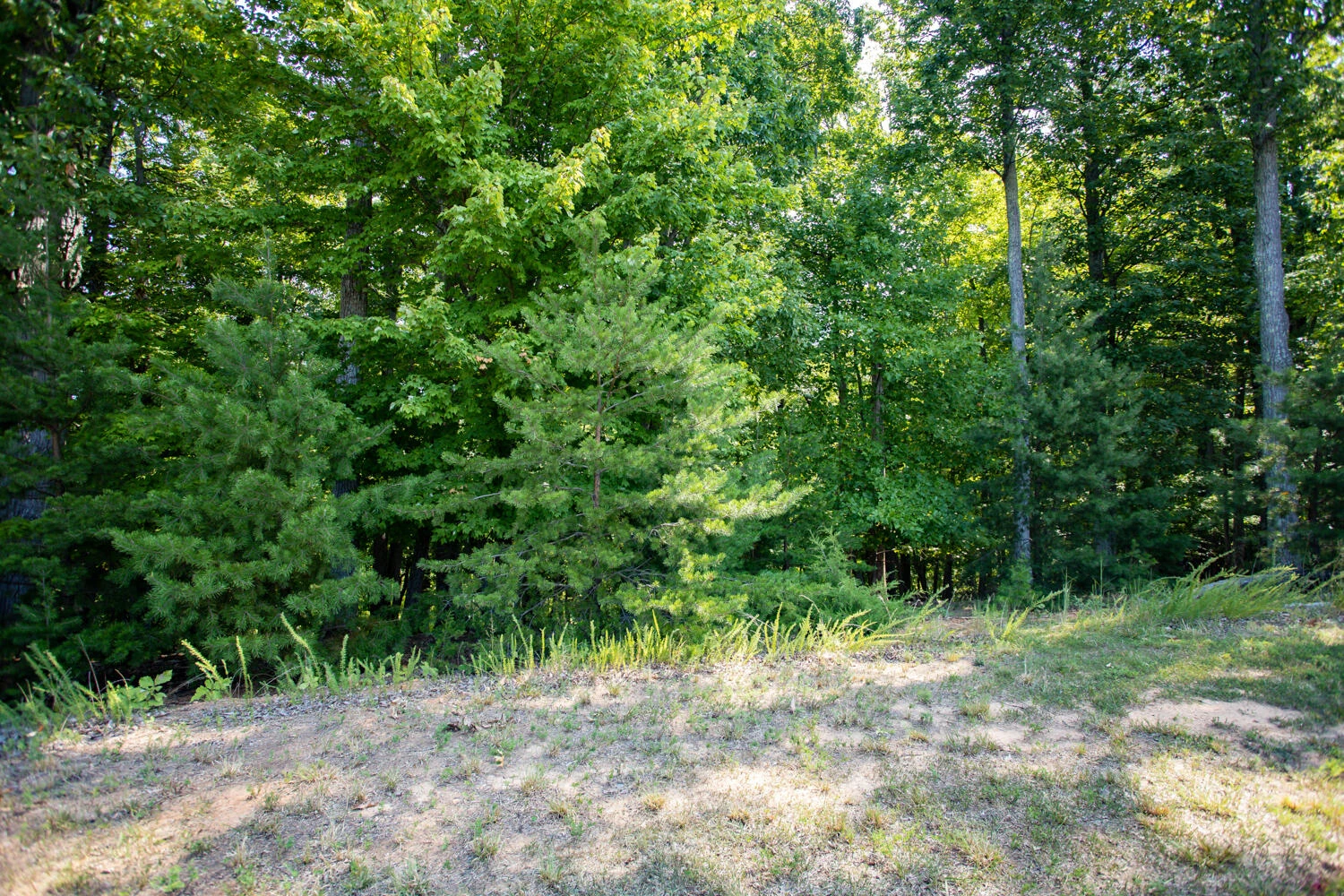 Lot 1 Sweetwater Bay DR - Photo 2