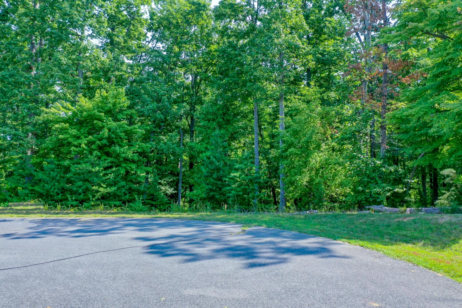 Lot 1 Sweetwater Bay DR - Photo 38