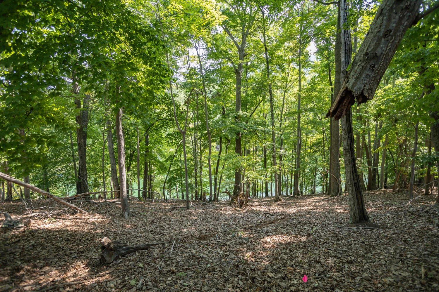 Lot 1 Sweetwater Bay DR - Photo 4