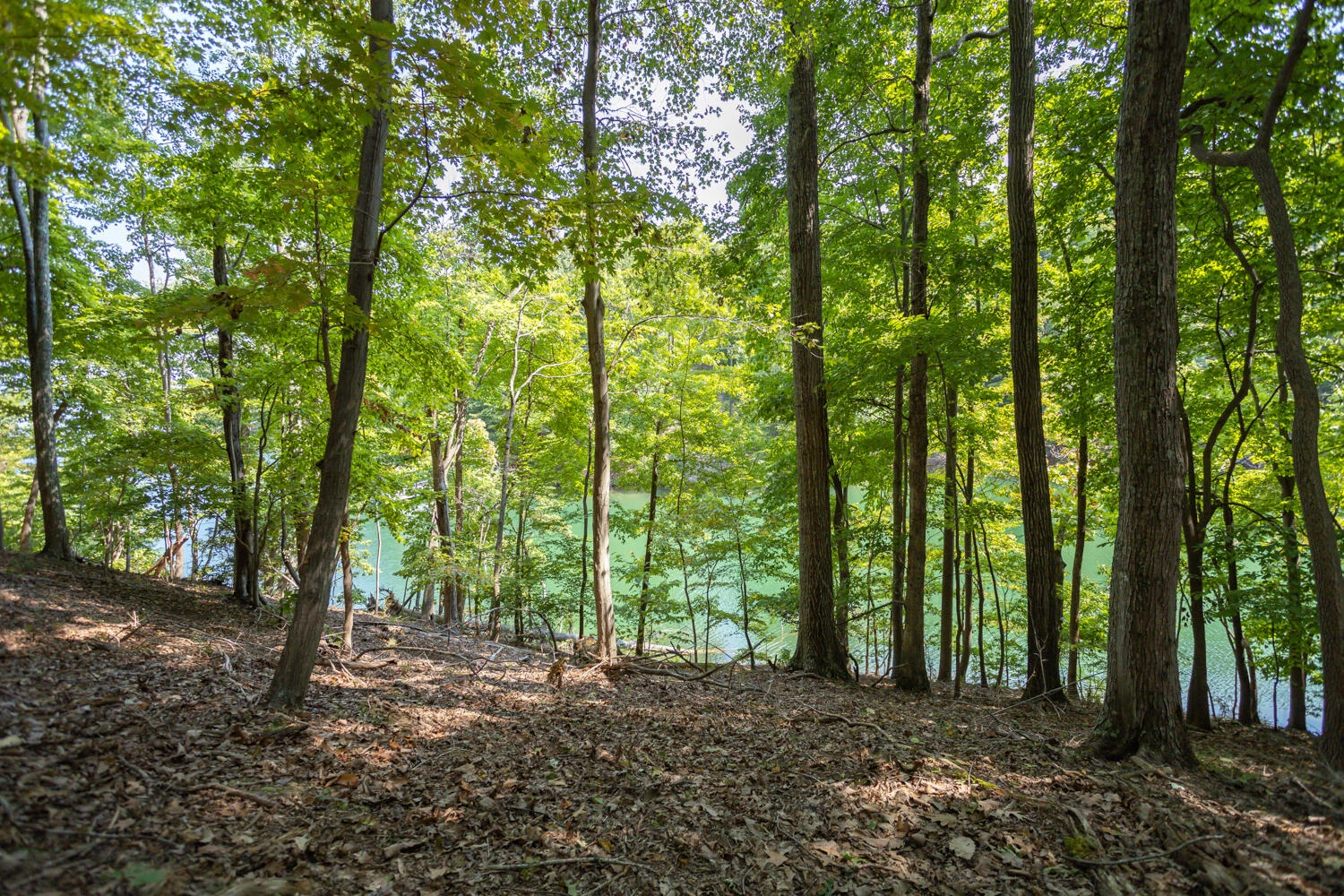 Lot 1 Sweetwater Bay DR - Photo 6