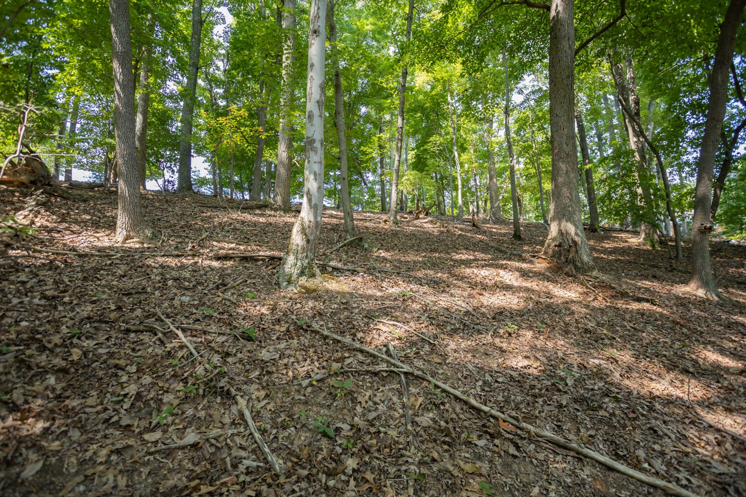 Lot 1 Sweetwater Bay DR - Photo 7