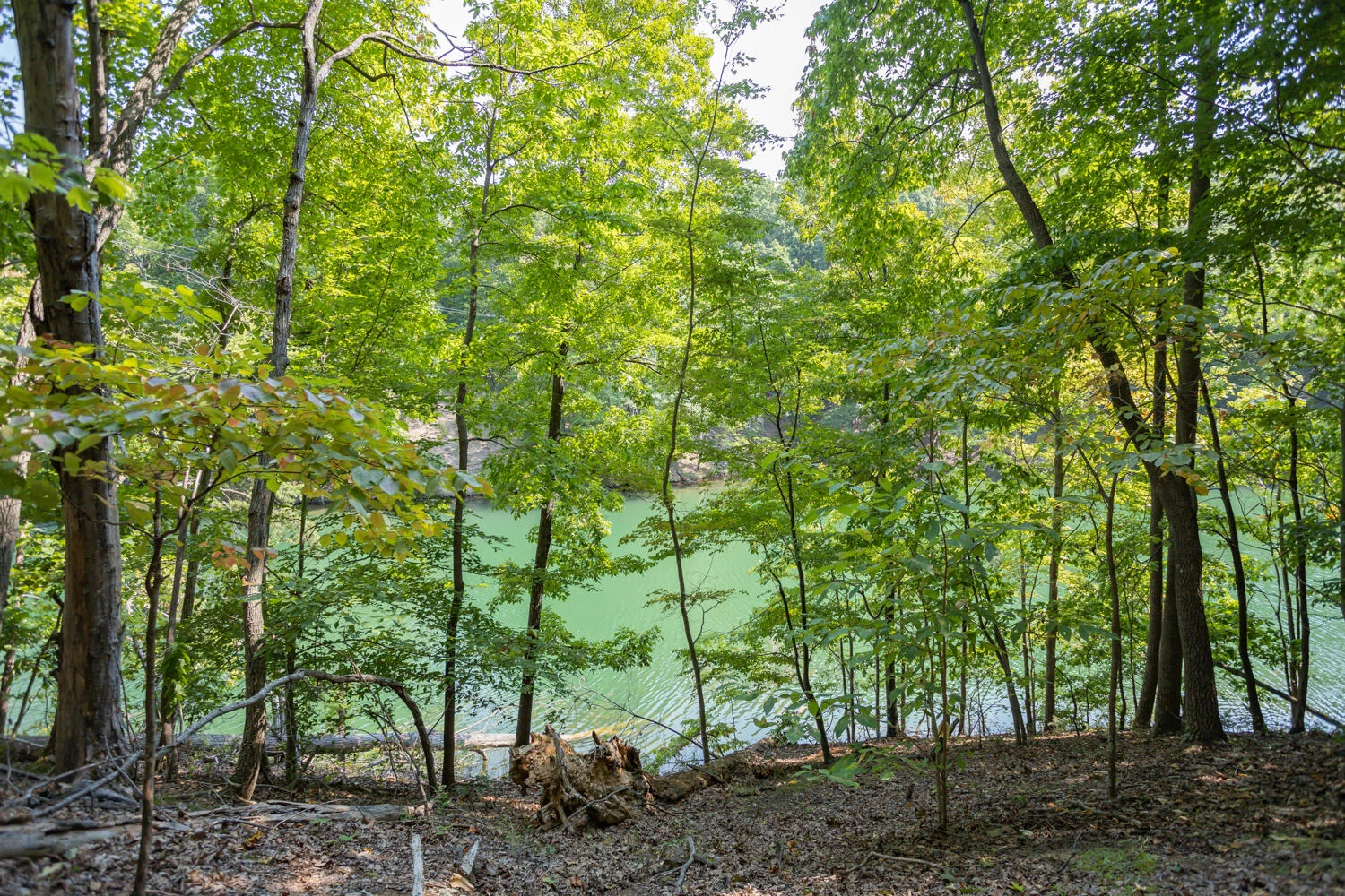 Lot 1 Sweetwater Bay DR - Photo 8