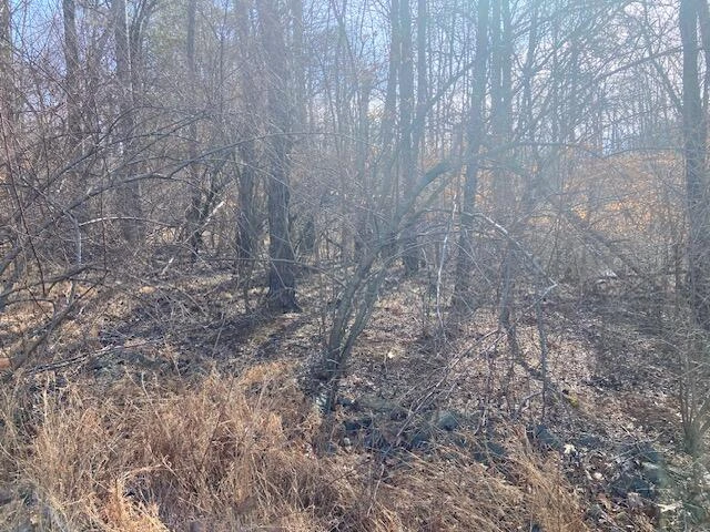 Lot 9 Watch Tower DR - Photo 5