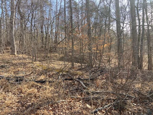 Lot 9 Watch Tower DR - Photo 6
