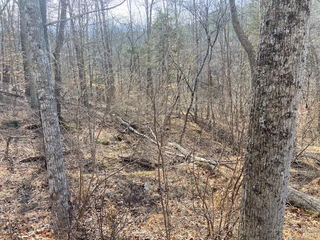 Lot 9 Watch Tower DR - Photo 7