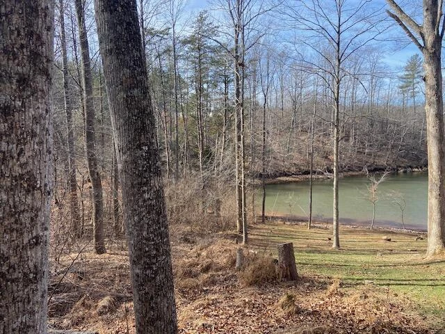 Lot 9 Watch Tower DR - Photo 8