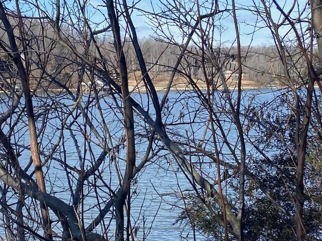 Lot 11 Waterway  Point - Photo 11