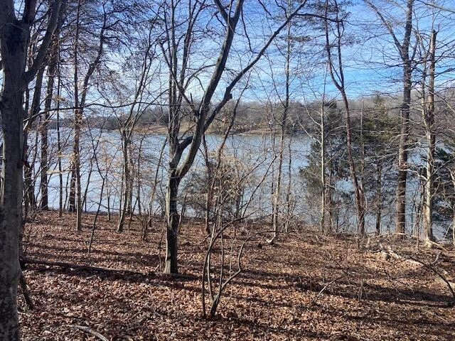 Lot 11 Waterway  Point - Photo 12