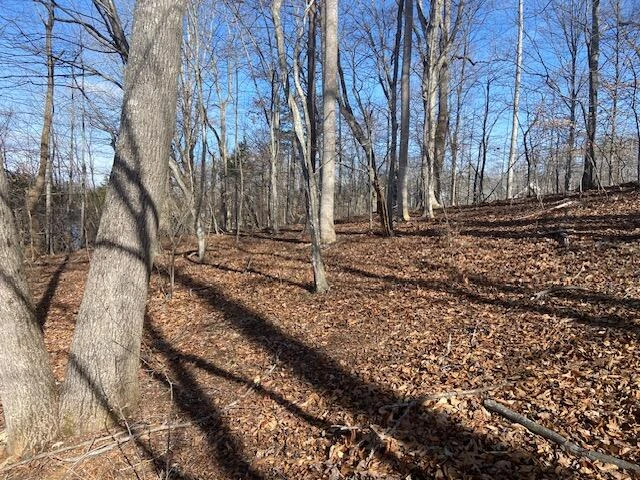 Lot 11 Waterway  Point - Photo 14