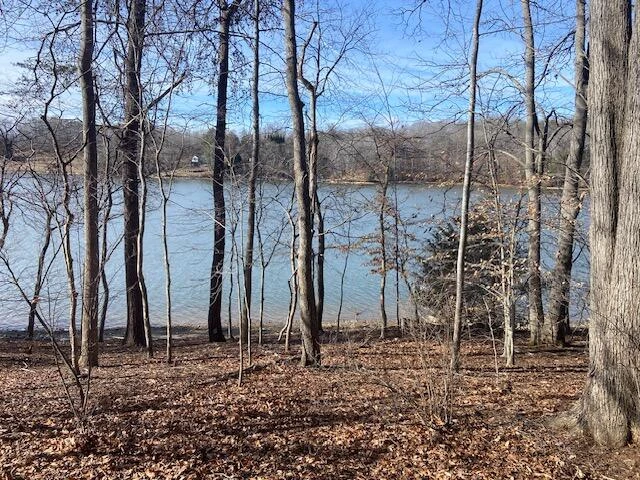 Lot 11 Waterway  Point - Photo 15