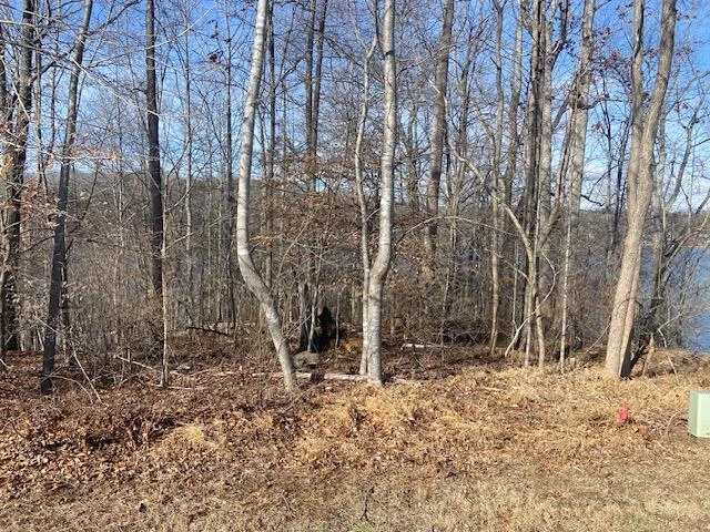 Lot 11 Waterway  Point - Photo 3