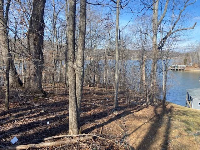 Lot 11 Waterway  Point - Photo 4