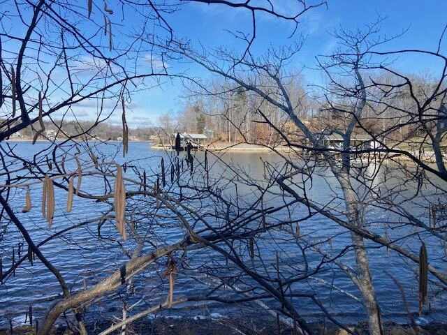 Lot 11 Waterway  Point - Photo 6